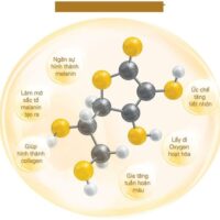 BỘ DƯỠNG TRẮNG MELANO CC