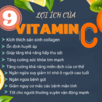 Tin tức