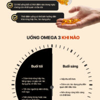 Nên uống Omega 3 khi nào? Cách uống Omega 3 hiệu quả 