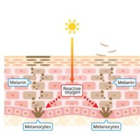 5 phương pháp trị thâm tại nhà bằng nguyên liệu thiên nhiên