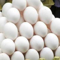 Có thể sử dụng trứng vịt thay thế trứng gà trong các công thức làm đẹp?