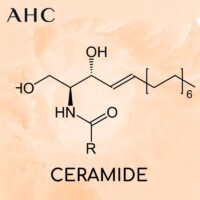 Ceramide là gì? Tác dụng và cách sử dụng Ceramide trong chăm sóc da