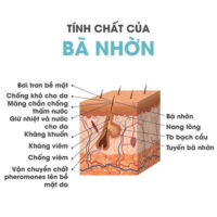 Mụn Ẩn - Hiểu Rõ Để Điều Trị Và Chăm Sóc Đúng Cách