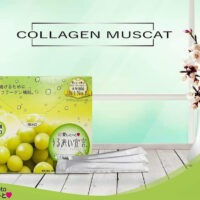 Review Chi Tiết Thạch Collagen Aishitoto Collagen Jelly Nhật Bản