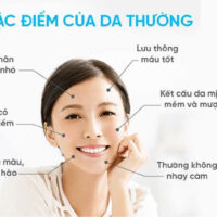 Tin tức