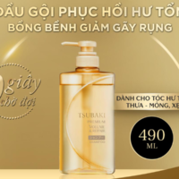 Top 6 Dầu Gội Nhật Bản Tốt Phục Hồi Tóc Chắc Khỏe, Suôn Mượt