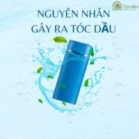 Top 12 dầu gội cho da dầu giúp mái tóc luôn bồng bềnh, ấn tượng