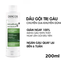 Top 5 Dầu Gội Trị Ngứa Da Đầu Hiệu Quả Ngay Sau Mỗi Lần Gội