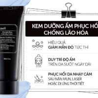 Mách Bạn Top 7 Kem Dưỡng Da Ban Đêm Đang Được Phái Đẹp Ưa Chuộng