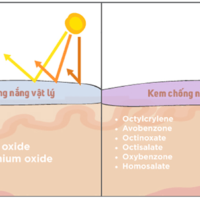 TOP 1 Kem Chống Nắng Cho Da Dầu Mụn Tại Nước Đức 2023