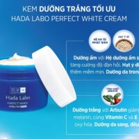 Kem Dưỡng Nâng Tone Da Giá Bình Dân, Chất Lượng Vượt Trội