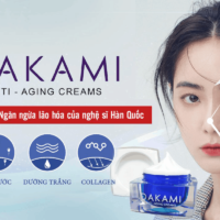 Kem dưỡng da cao cấp Dakami Hàn Quốc - Dưỡng trắng, xóa mờ thâm nám