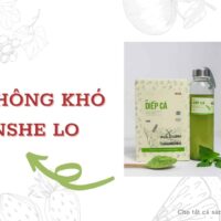 15 Loại Kem Nền Cho Da Khô Được Ưa Chuộng Nhất Hiện Nay