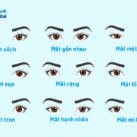 Các kiểu mắt người và 10 hình dạng mắt phổ biến